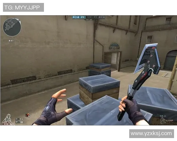 杨敏深度解析英雄联盟游戏策略与技巧分享，助你提升竞技水平与团队配合能力